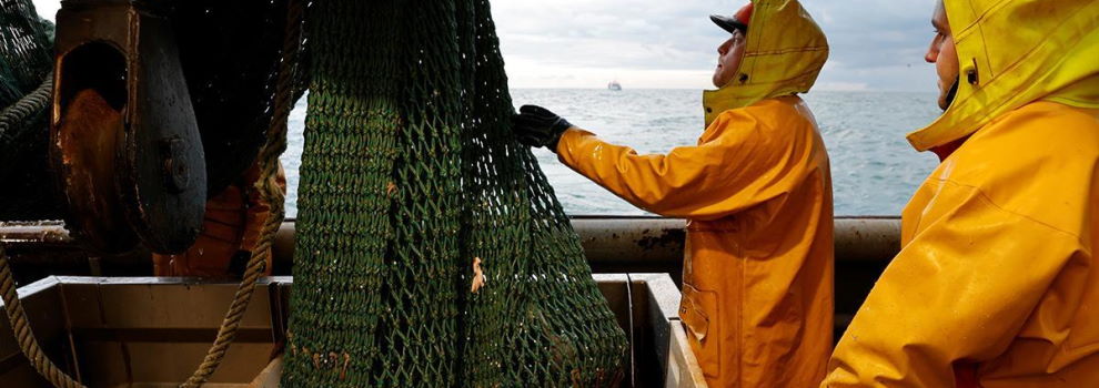 International Maritime Association (IMA)