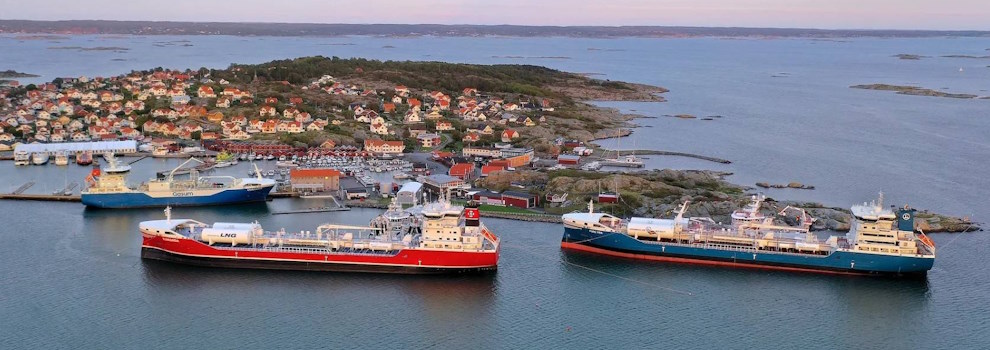 International Maritime Association (IMA)